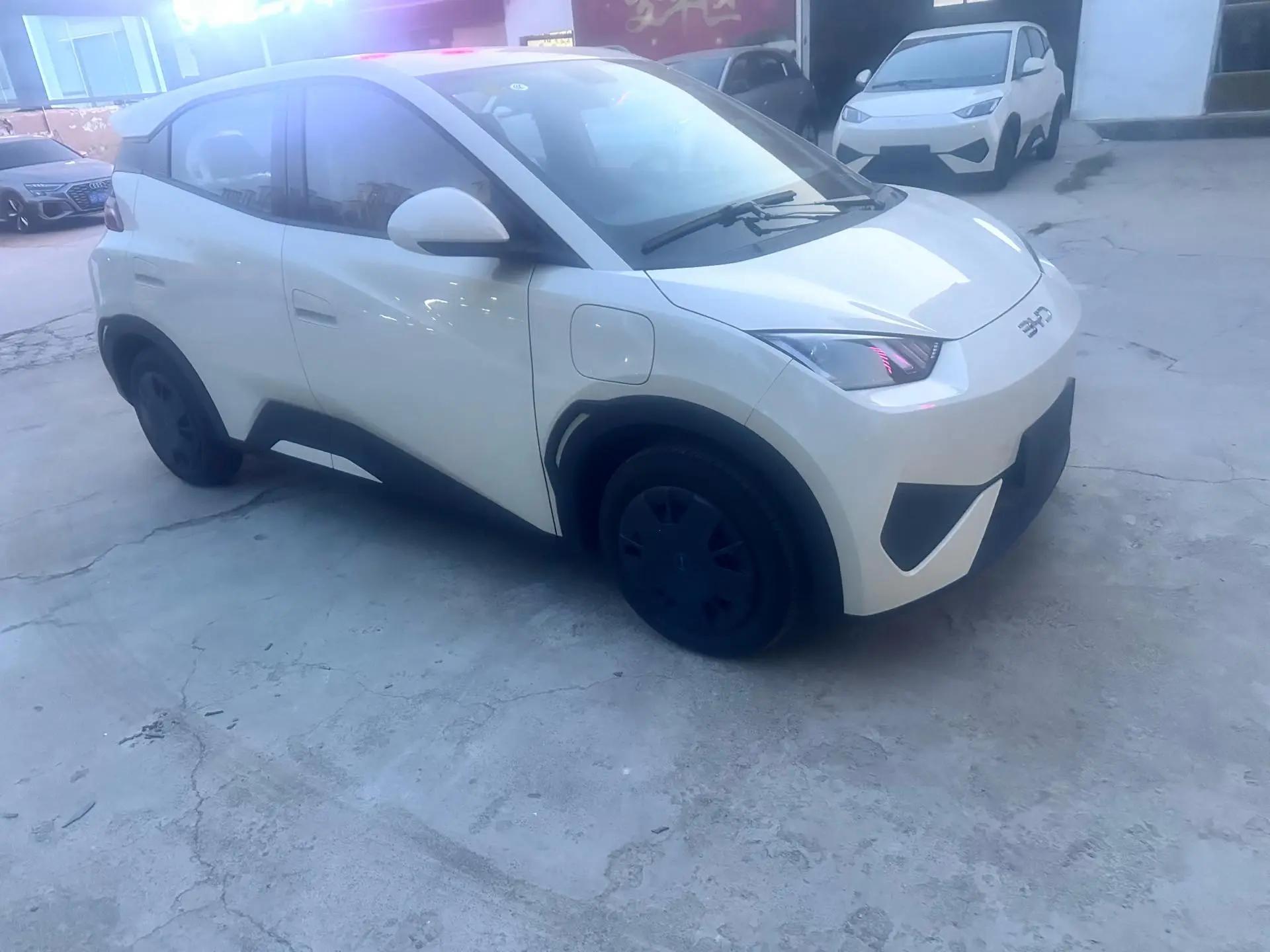 BYD 2025 Seagull Intelligent Driving Edition 305km Vitality Edition Automatic 3