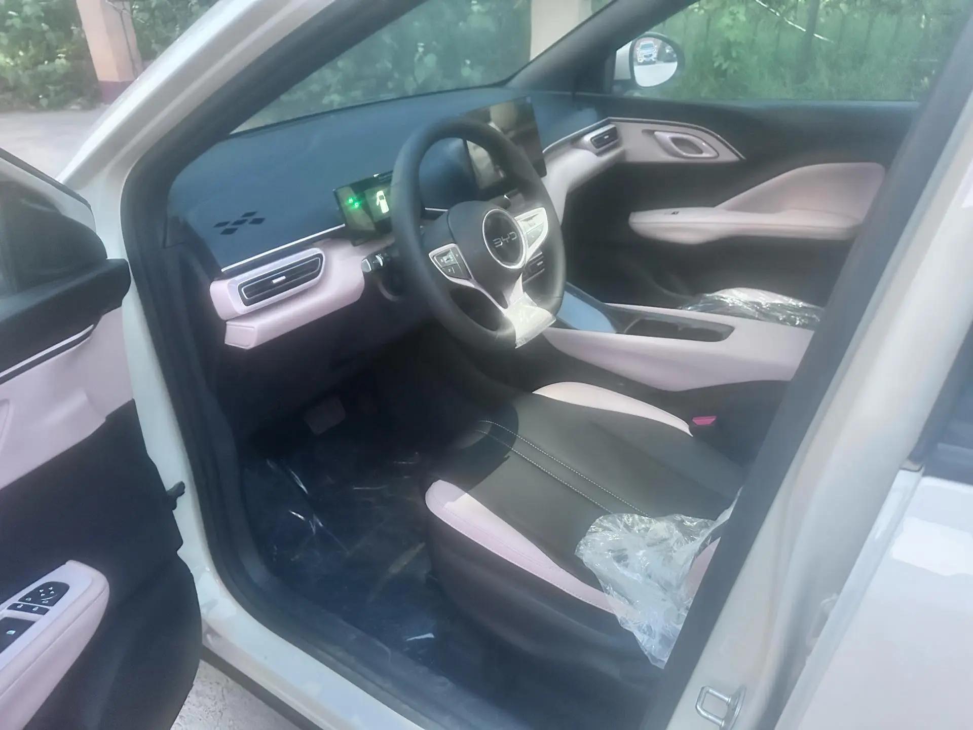 BYD 2025 Seagull Intelligent Driving Edition 305km Vitality Edition Automatic 4