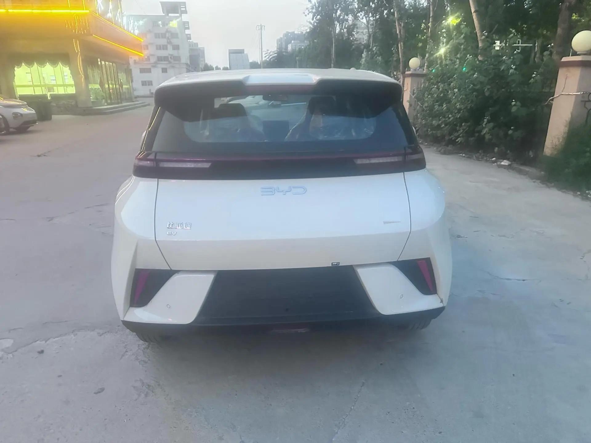 BYD 2025 Seagull Intelligent Driving Edition 305km Vitality Edition Automatic 8