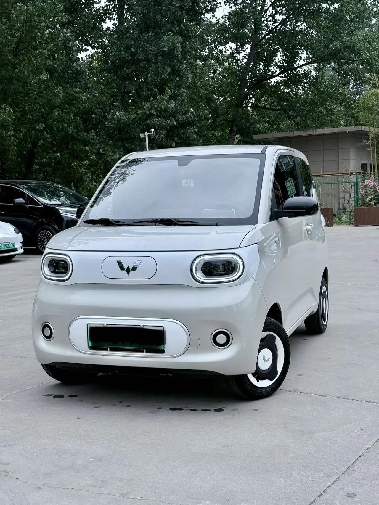 WuLing 2024 HongGuang MINI EV 215km Youth Edition Automatic