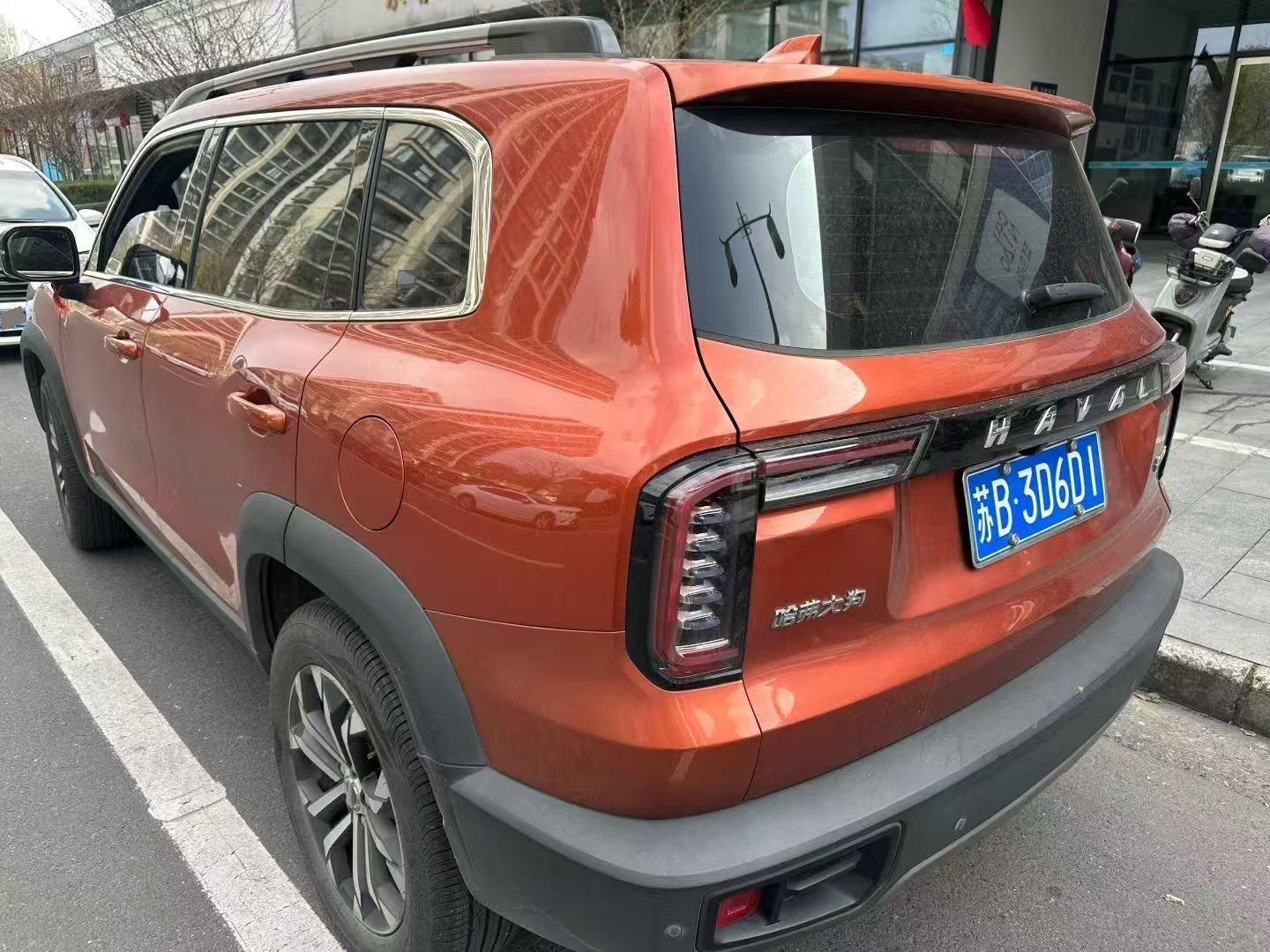 Haval Big Dog 2021 1.5T DCT Two-Drive Border Pastoral Edition 2