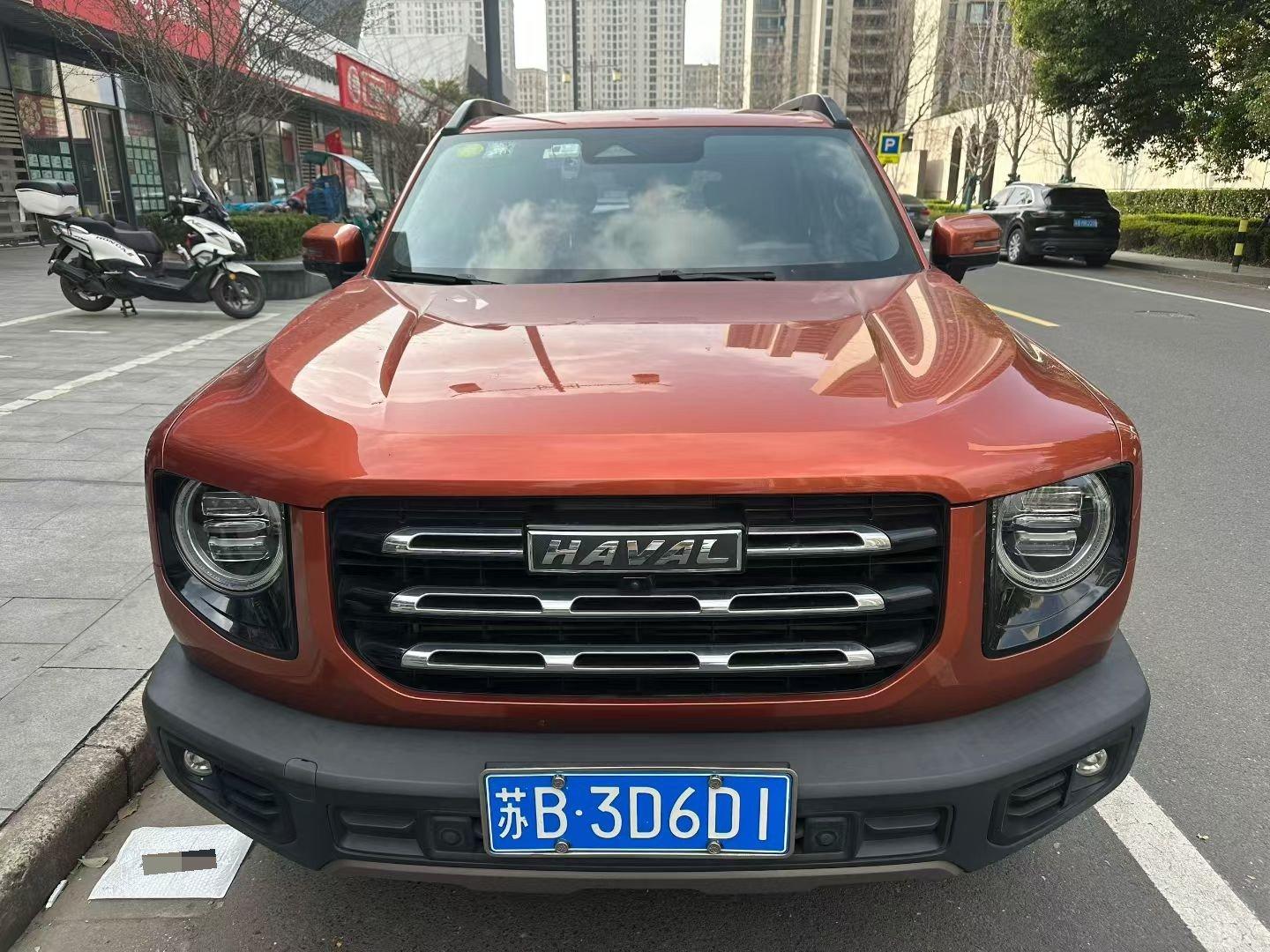 Haval Big Dog 2021 1.5T DCT Two-Drive Border Pastoral Edition 4