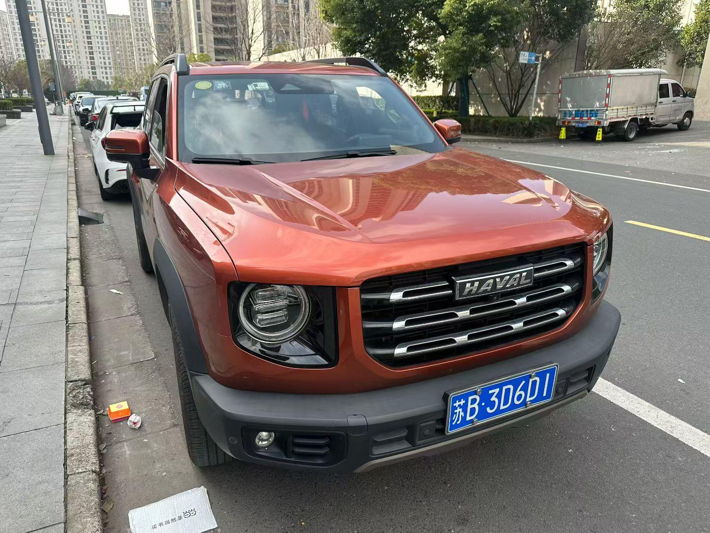 Haval Big Dog 2021 1.5T DCT Two-Drive Border Pastoral Edition 5