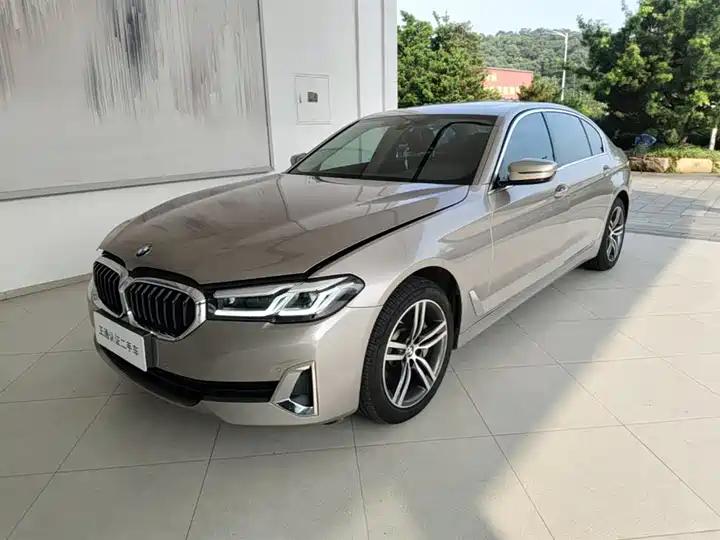 BMW 5 Series 2021 530Li Leading Luxury Suit