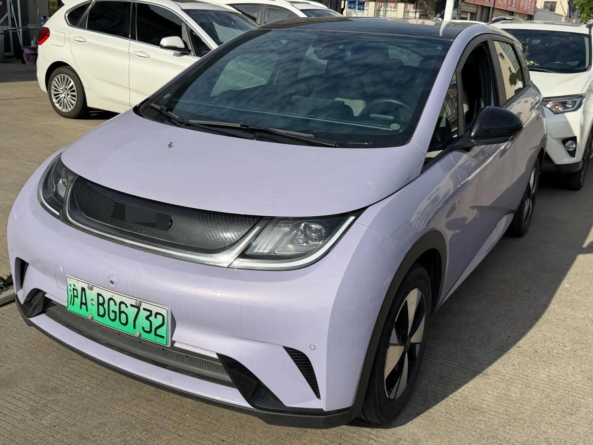 BYD 2023 Dolphin 420km Fashion Edition Automatic