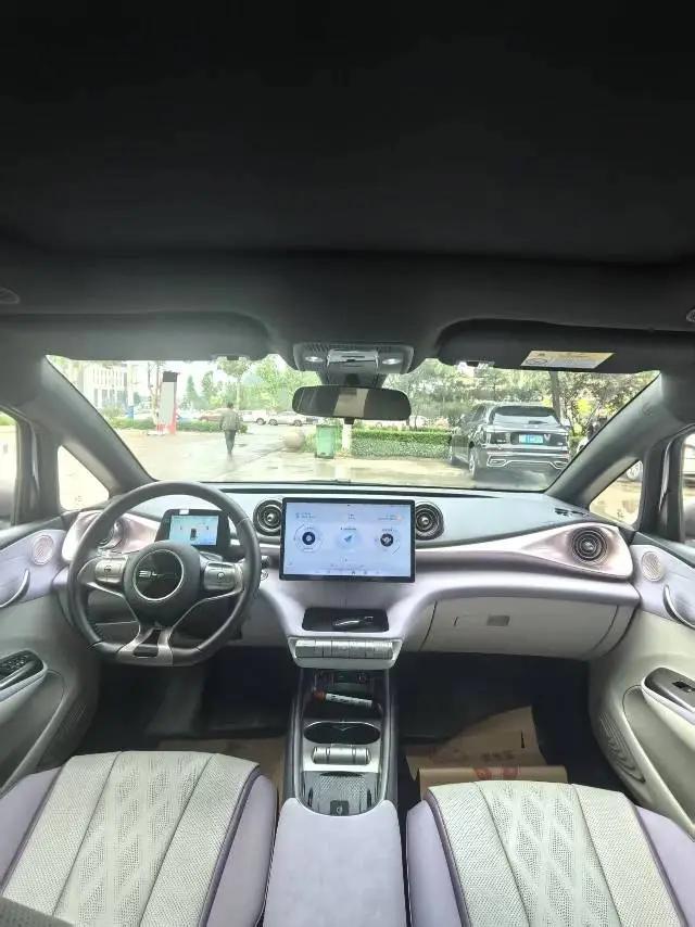 BYD 2023 Dolphin 420km Fashion Edition Automatic 6