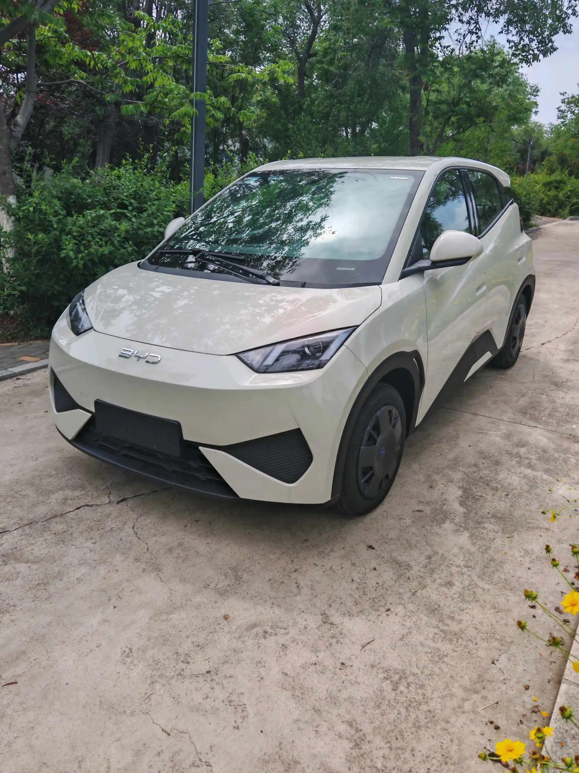BYD 2025 Seagull Intelligent Driving Edition 305km Vitality Edition Automatic