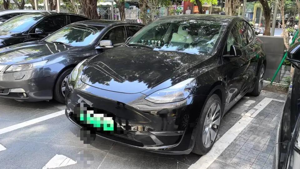 Model Y 2021 Standard Endurance Rear Drive Edition