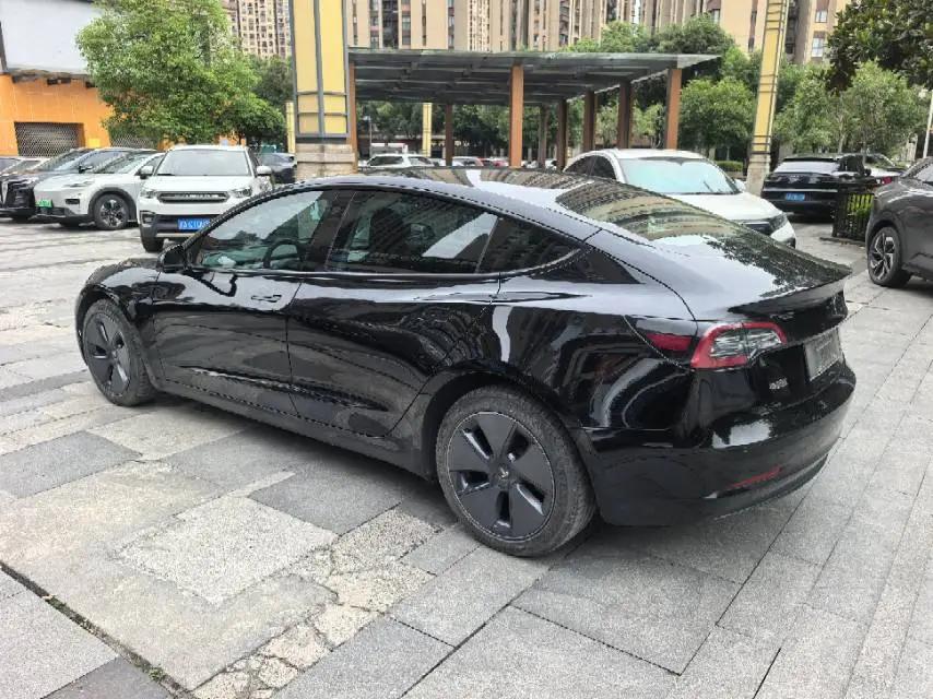 Model 3 2021 model facelift standard endurance rear drive upgrade 3D1 3