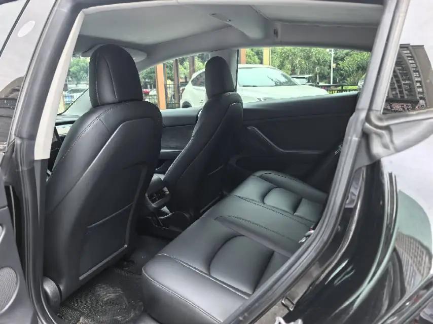 Model 3 2021 model facelift standard endurance rear drive upgrade 3D1 5