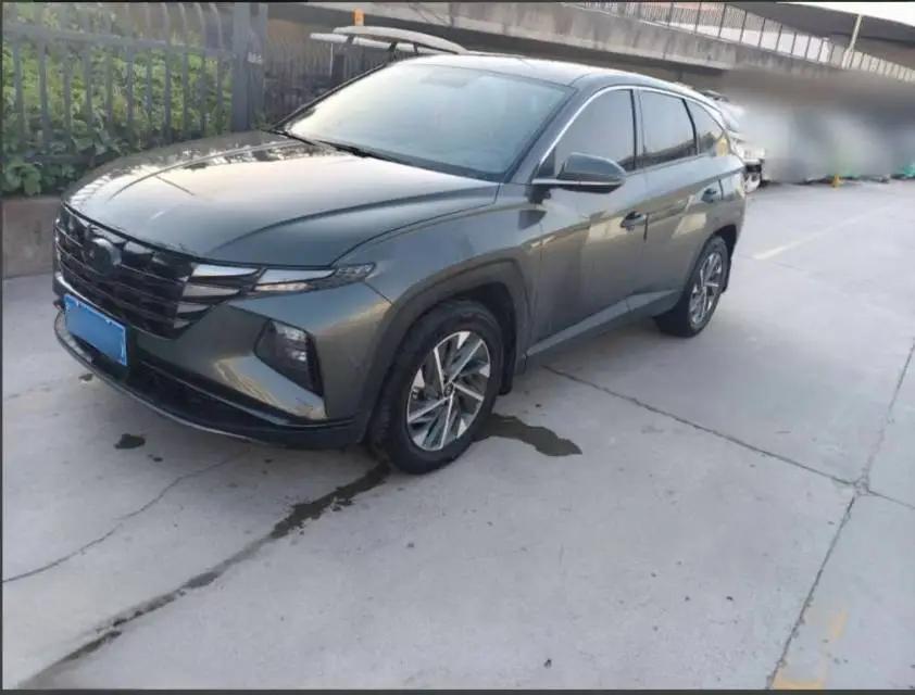 Tousheng 2021 Tousheng L 1.5T GLX Elite Edition
