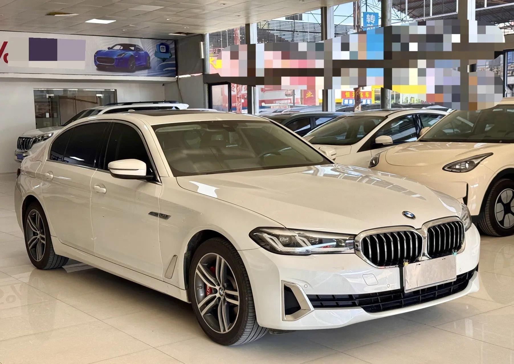 BMW 5 Series 2021 530Li xDrive Deluxe Set 3