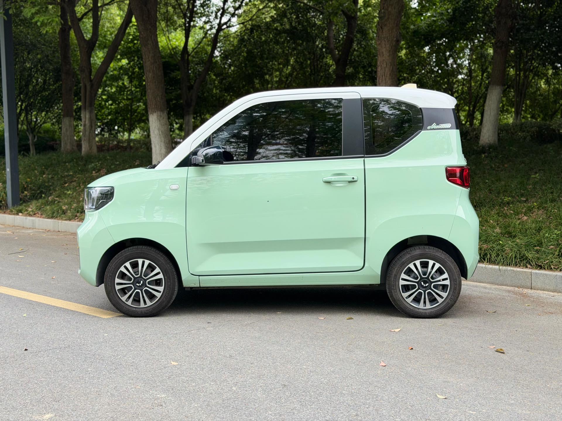 Hongguang MINIEV 2022 macaron painted lithium iron phosphate 5