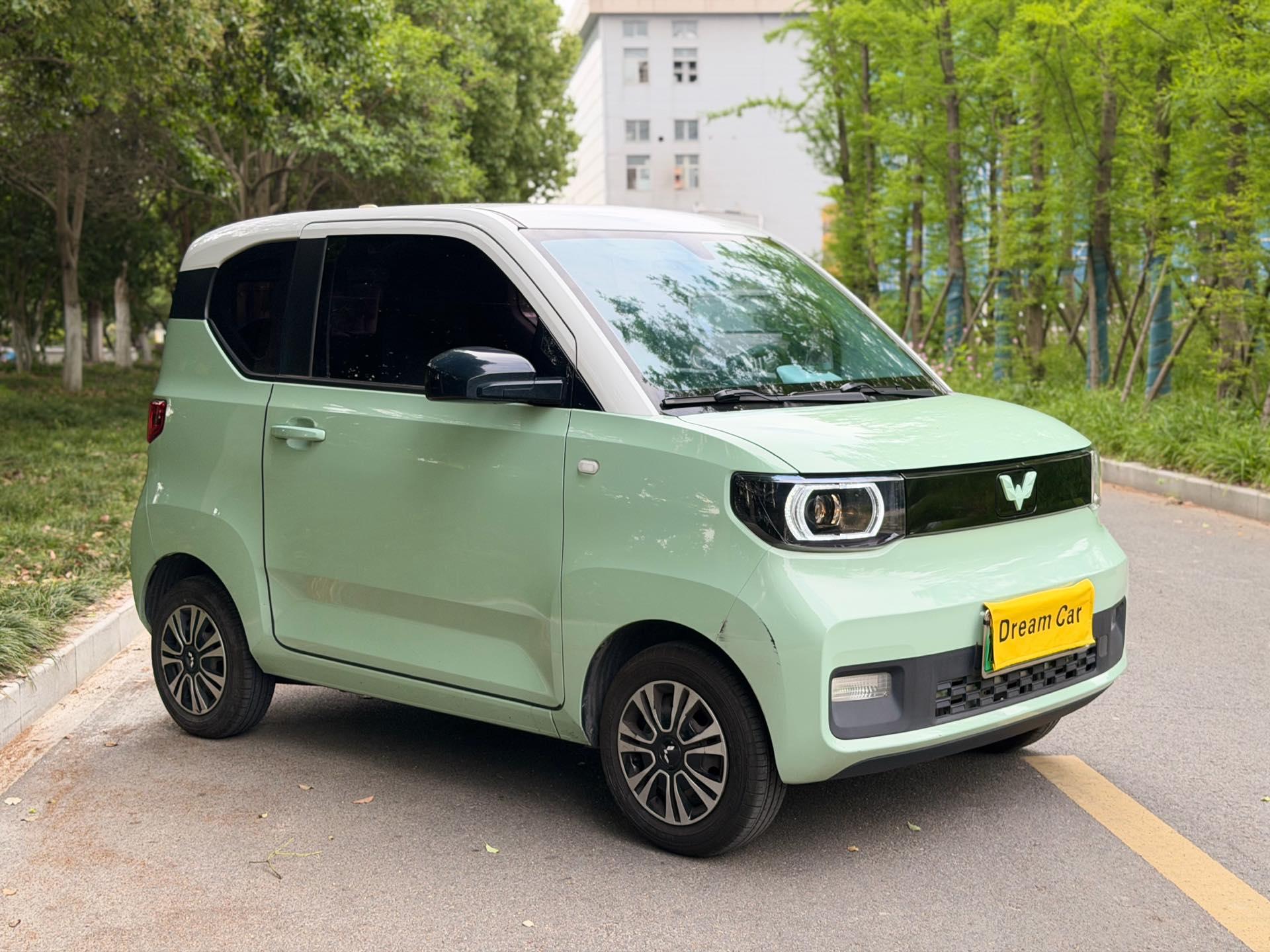 Hongguang MINIEV 2022 macaron painted lithium iron phosphate 7