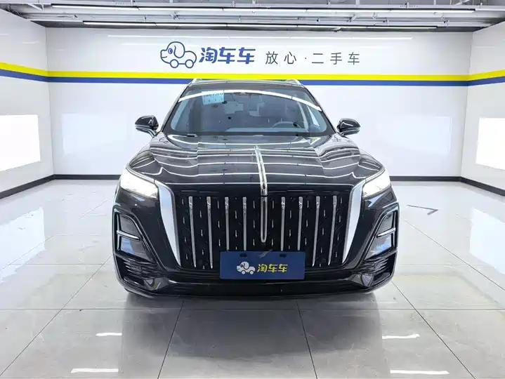 HongQi HS5 2023 2.0T Flag Pro Edition 2