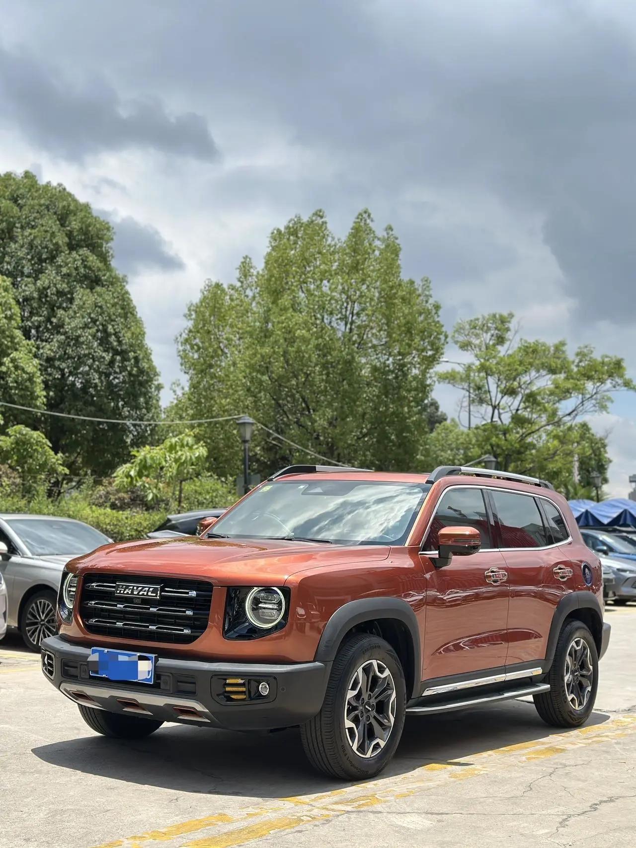 Haval Big Dog 2021 2.0T DCT Four-wheel Drive Chinese Garden Dog Edition