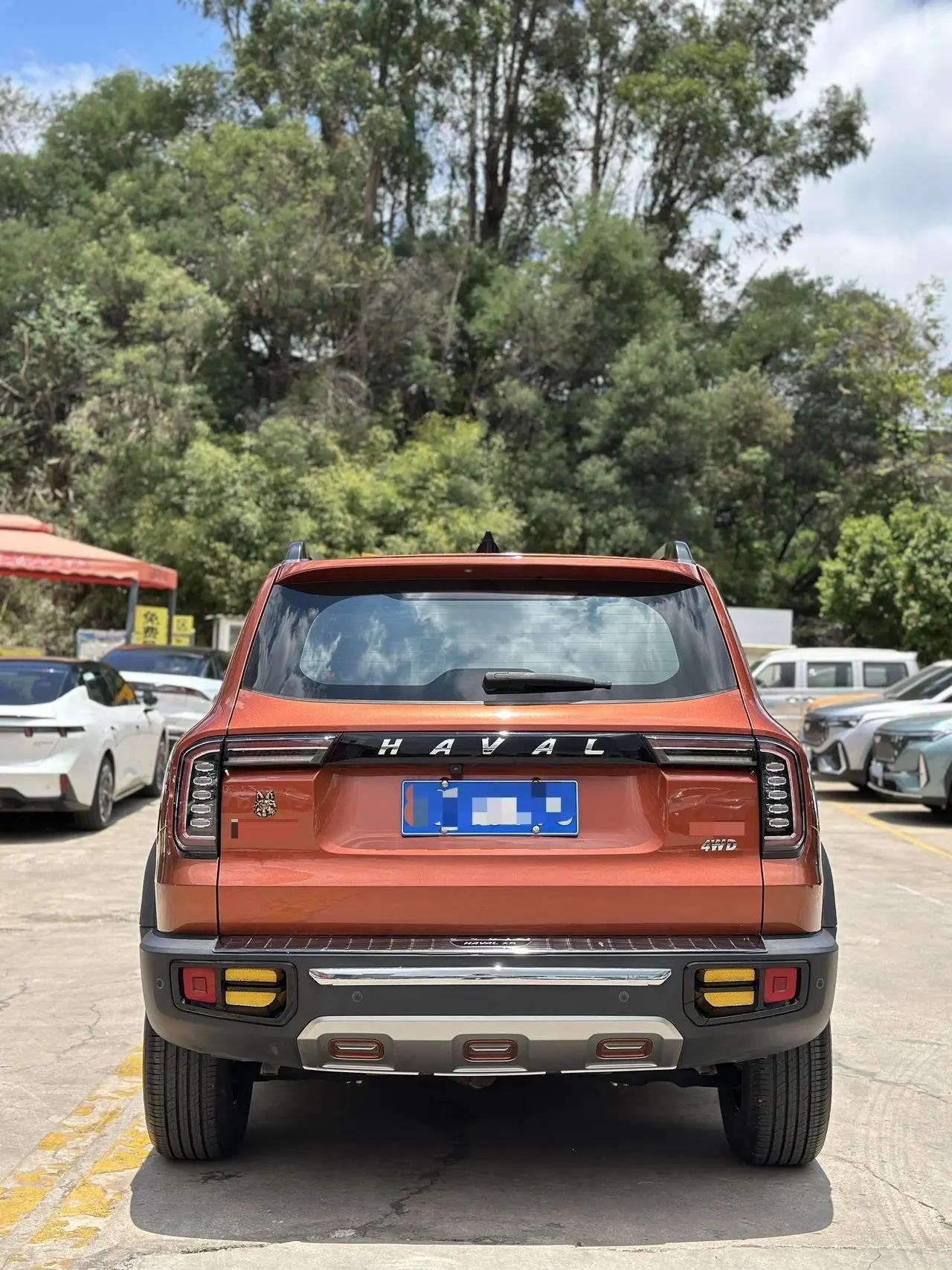 Haval Big Dog 2021 2.0T DCT Four-wheel Drive Chinese Garden Dog Edition 4
