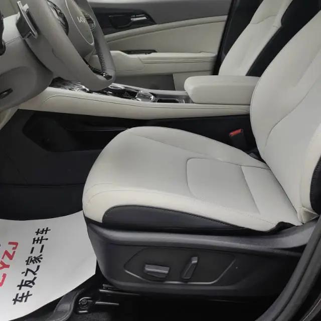 Lion Platinum Extension 2023 1.5T Two-Drive Premium Edition 5