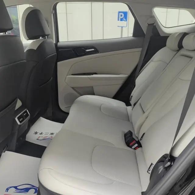 Lion Platinum Extension 2023 1.5T Two-Drive Premium Edition 7