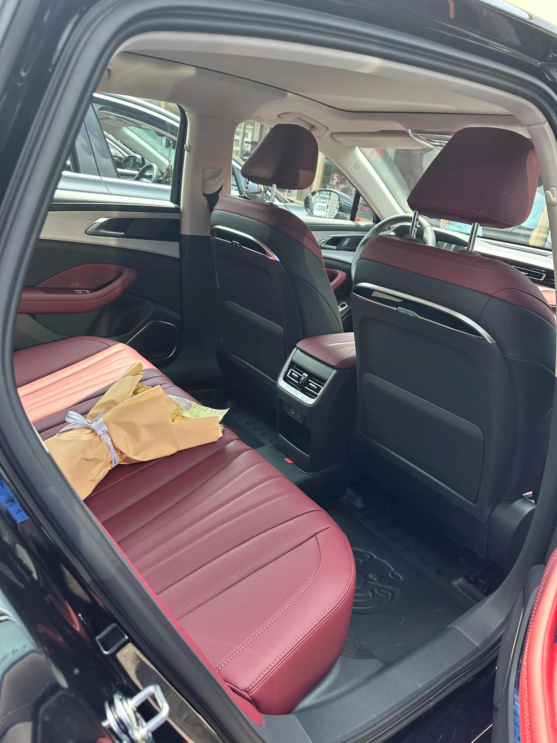 HongQi 2025 Model H5 2.0T Flag-Champ 500,000-Vehicle Commemorative Edition Automatic 5