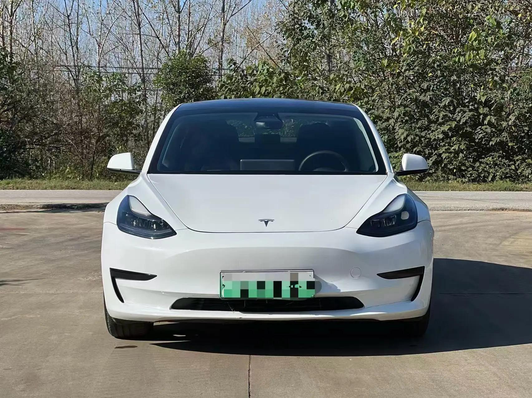 2021 Model 3 Standard Range Rear-Wheel Drive Upgrade Version 2