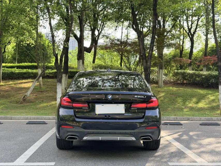 BMW 5 Series 2021 530Li Exclusive M Sports Suit 8