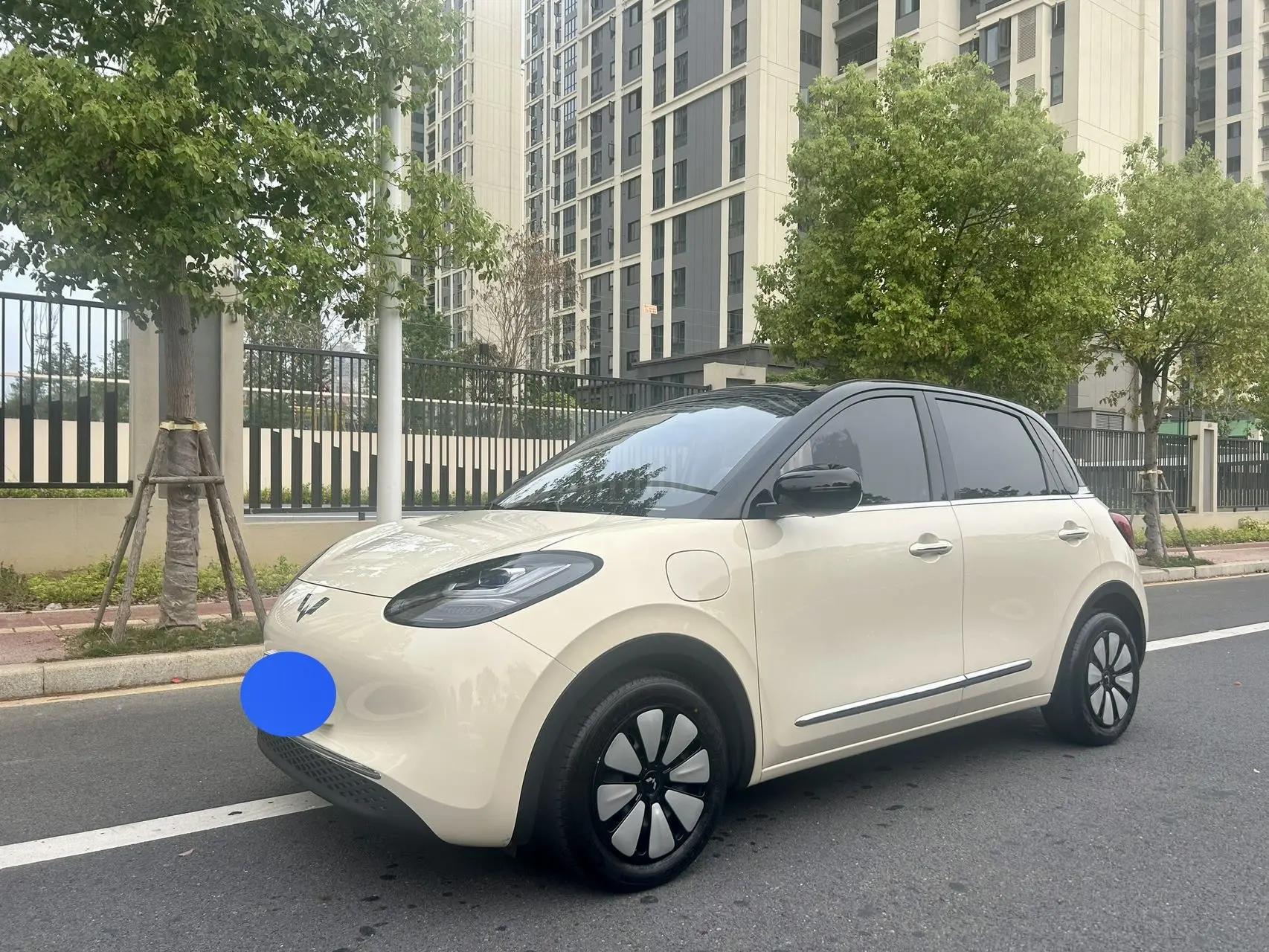 WuLing 2025 Plantronics 333km Enjoy Automatic Gear