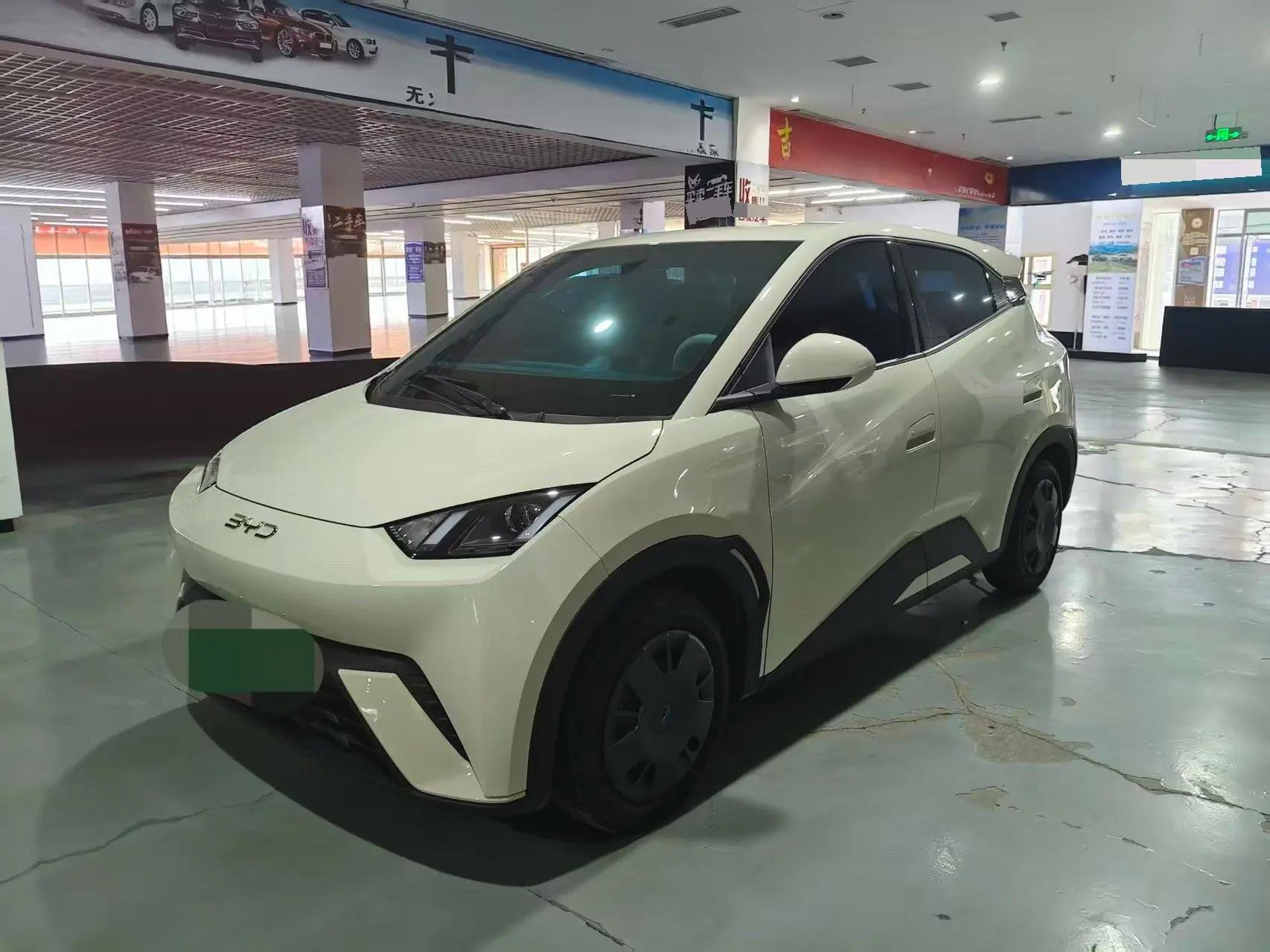 BYD 2025 Sea Swallow 305km Vitality Edition Automatic