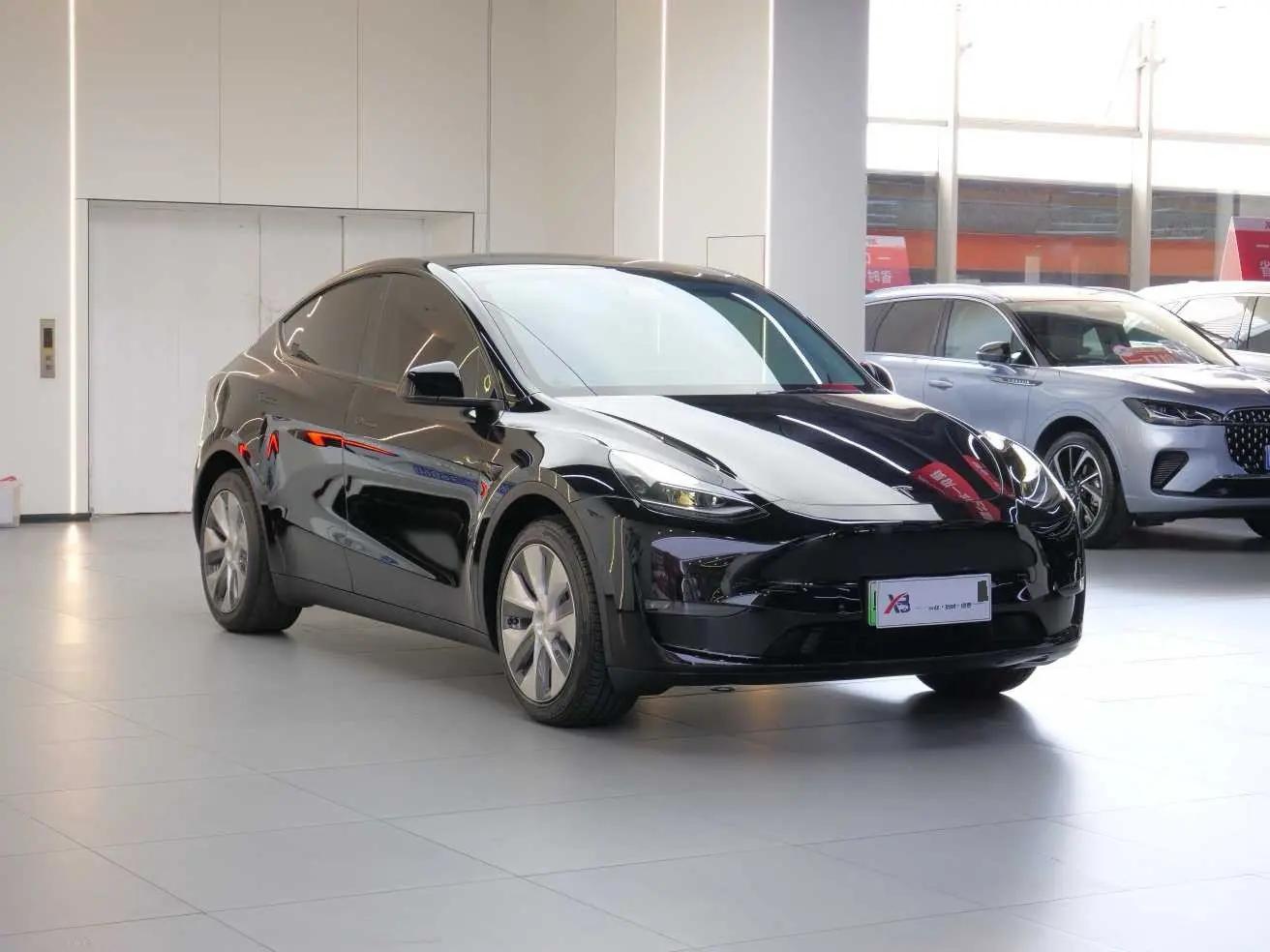 Model Y 2021 Standard Endurance Rear Drive Edition 2