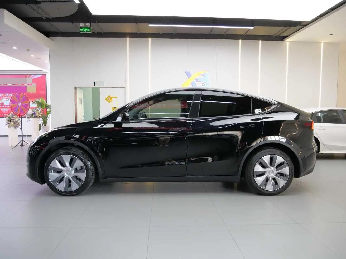 Model Y 2021 Standard Endurance Rear Drive Edition 3