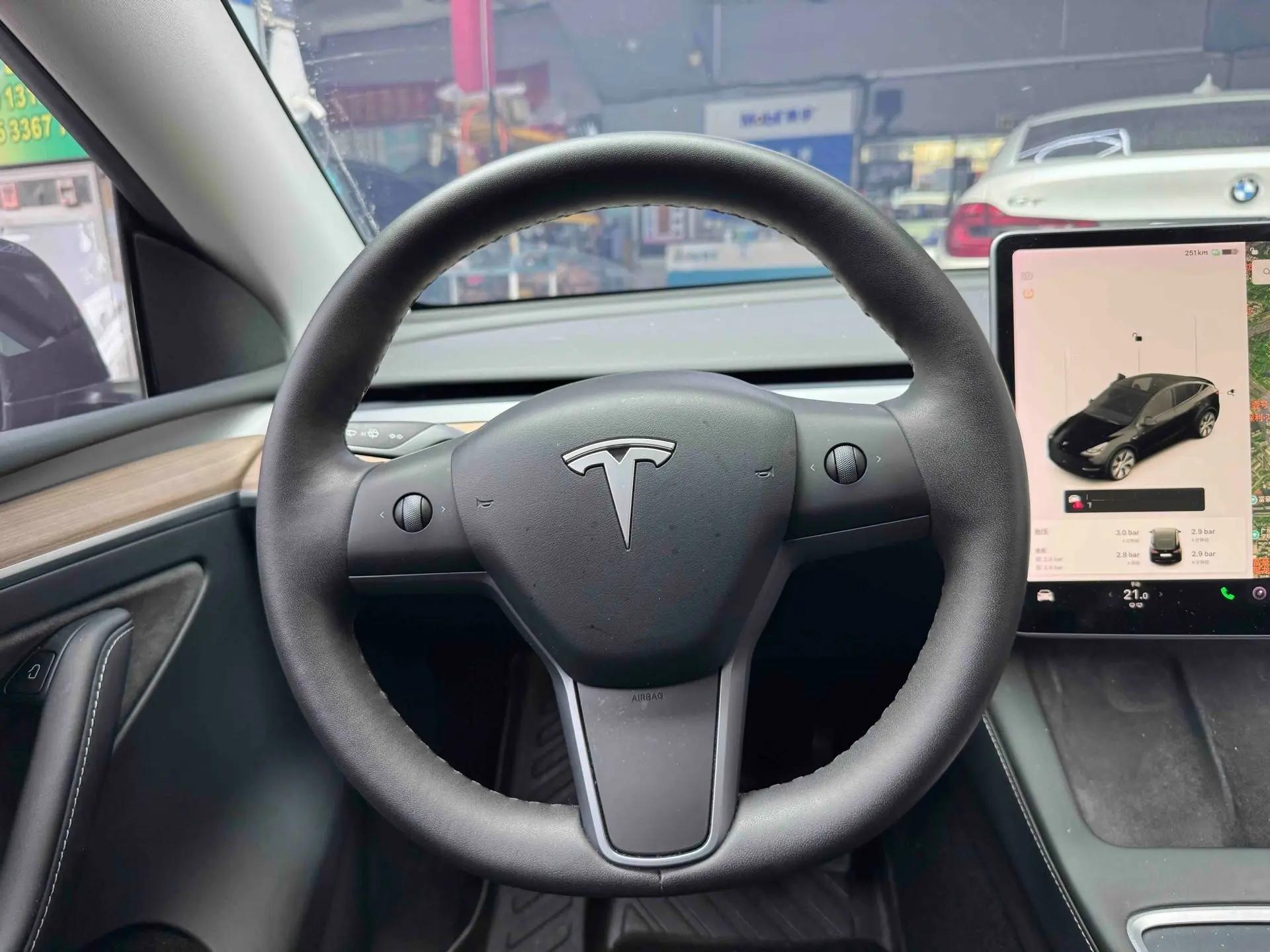 Model Y 2021 Standard Endurance Rear Drive Edition 5