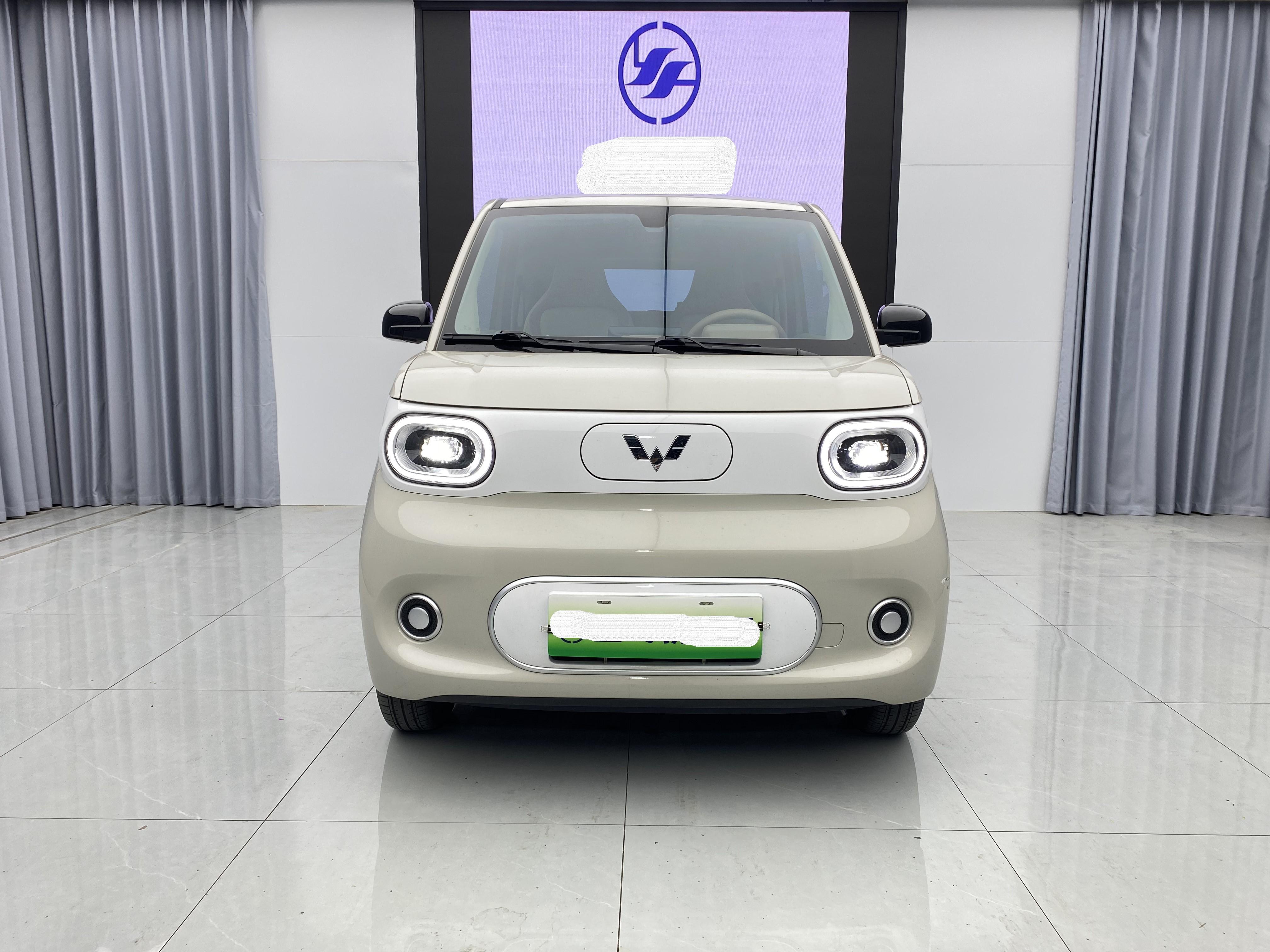 WuLing 2024 HongGuang MINI EV 215km Youth Edition Automatic 2