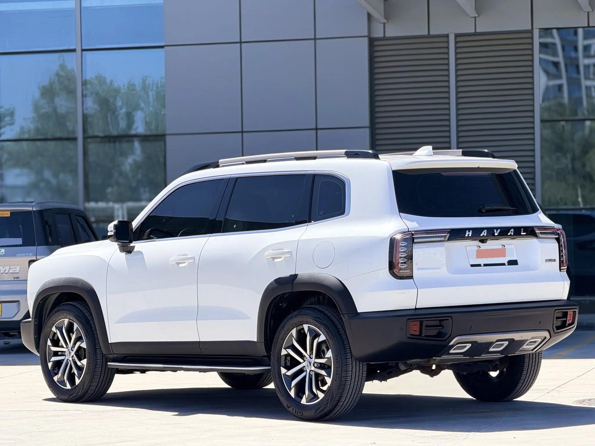 Haval Big Dog 2021 1.5T DCT Two-Drive Border Pastoral Edition 4