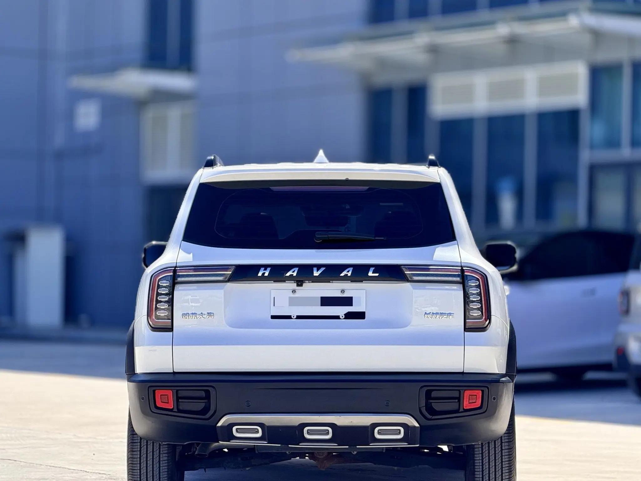 Haval Big Dog 2021 1.5T DCT Two-Drive Border Pastoral Edition 5