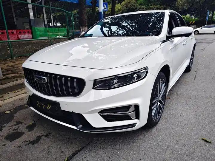 Xingrui 2023 2.0TD Luxury Model