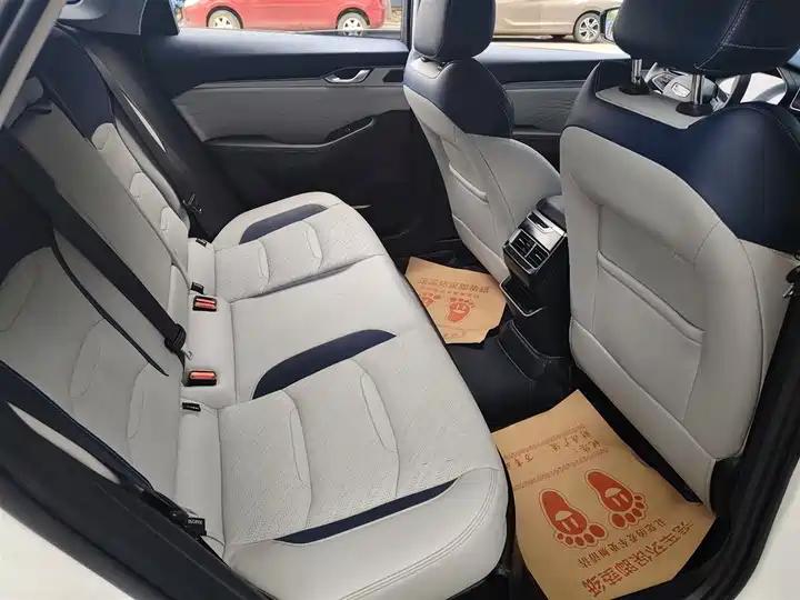 Xingrui 2023 2.0TD Luxury Model 10