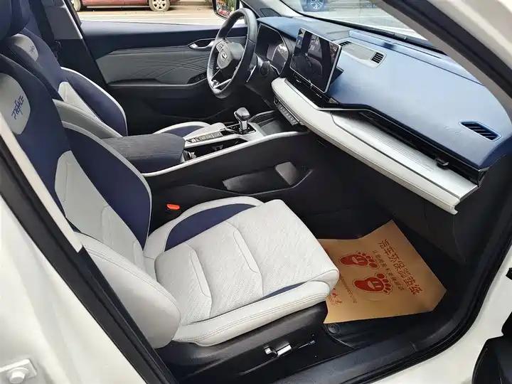 Xingrui 2023 2.0TD Luxury Model 11