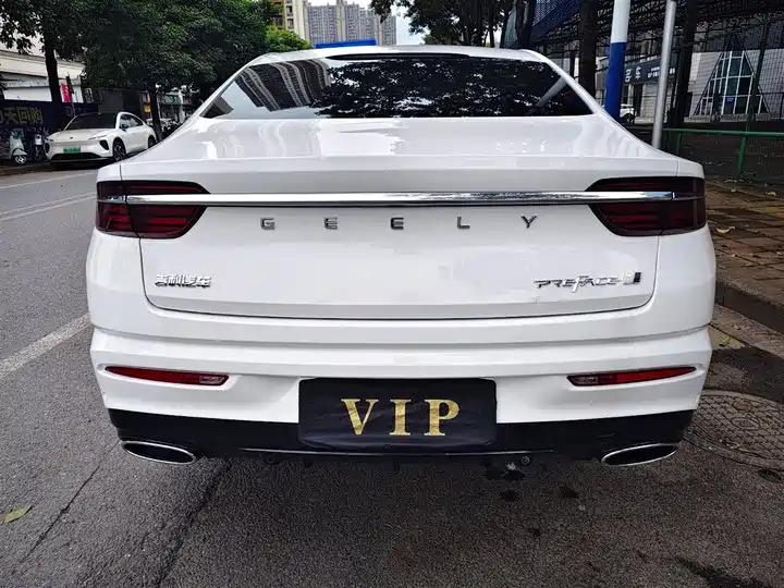 Xingrui 2023 2.0TD Luxury Model 13