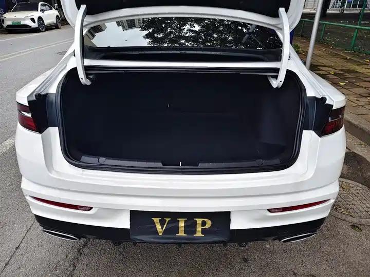 Xingrui 2023 2.0TD Luxury Model 15