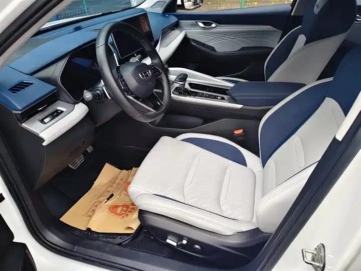 Xingrui 2023 2.0TD Luxury Model 6