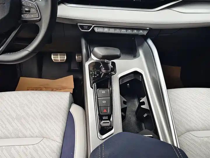 Xingrui 2023 2.0TD Luxury Model 8