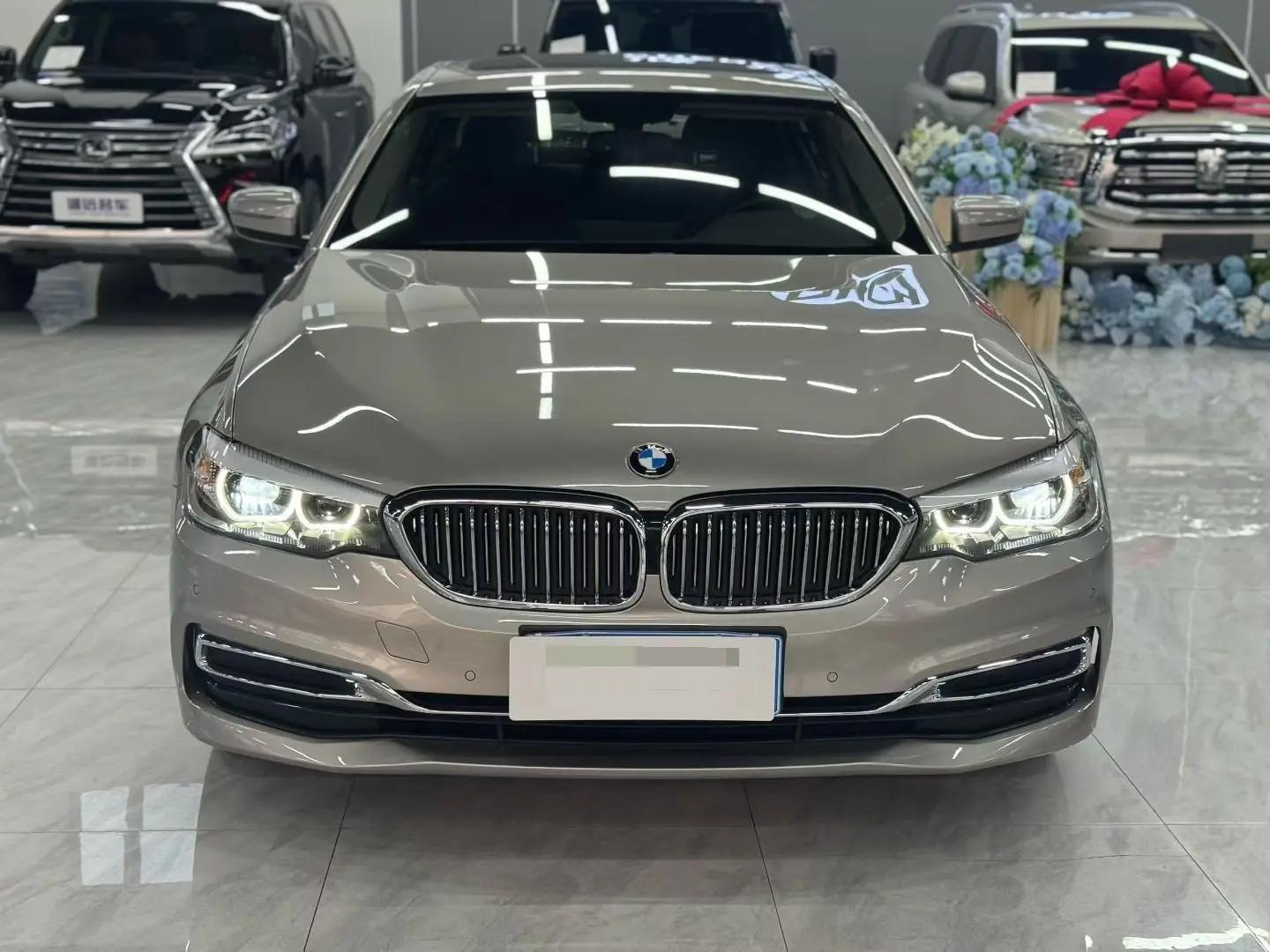 BMW 5 Series 2020 525Li Deluxe Suit 2