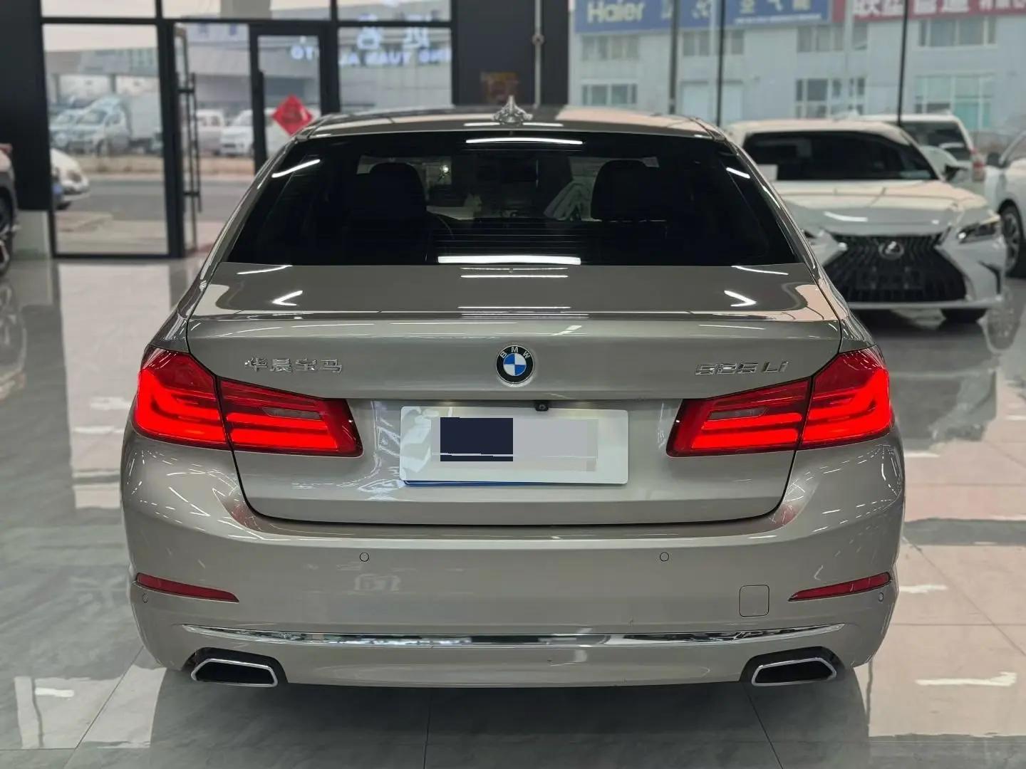 BMW 5 Series 2020 525Li Deluxe Suit 5