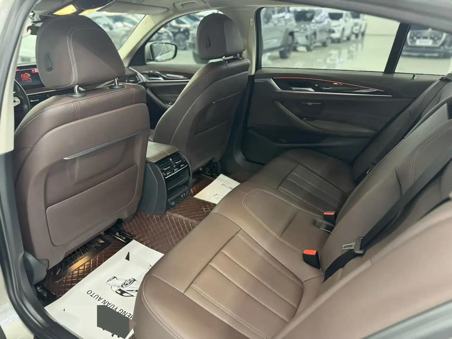 BMW 5 Series 2020 525Li Deluxe Suit 8