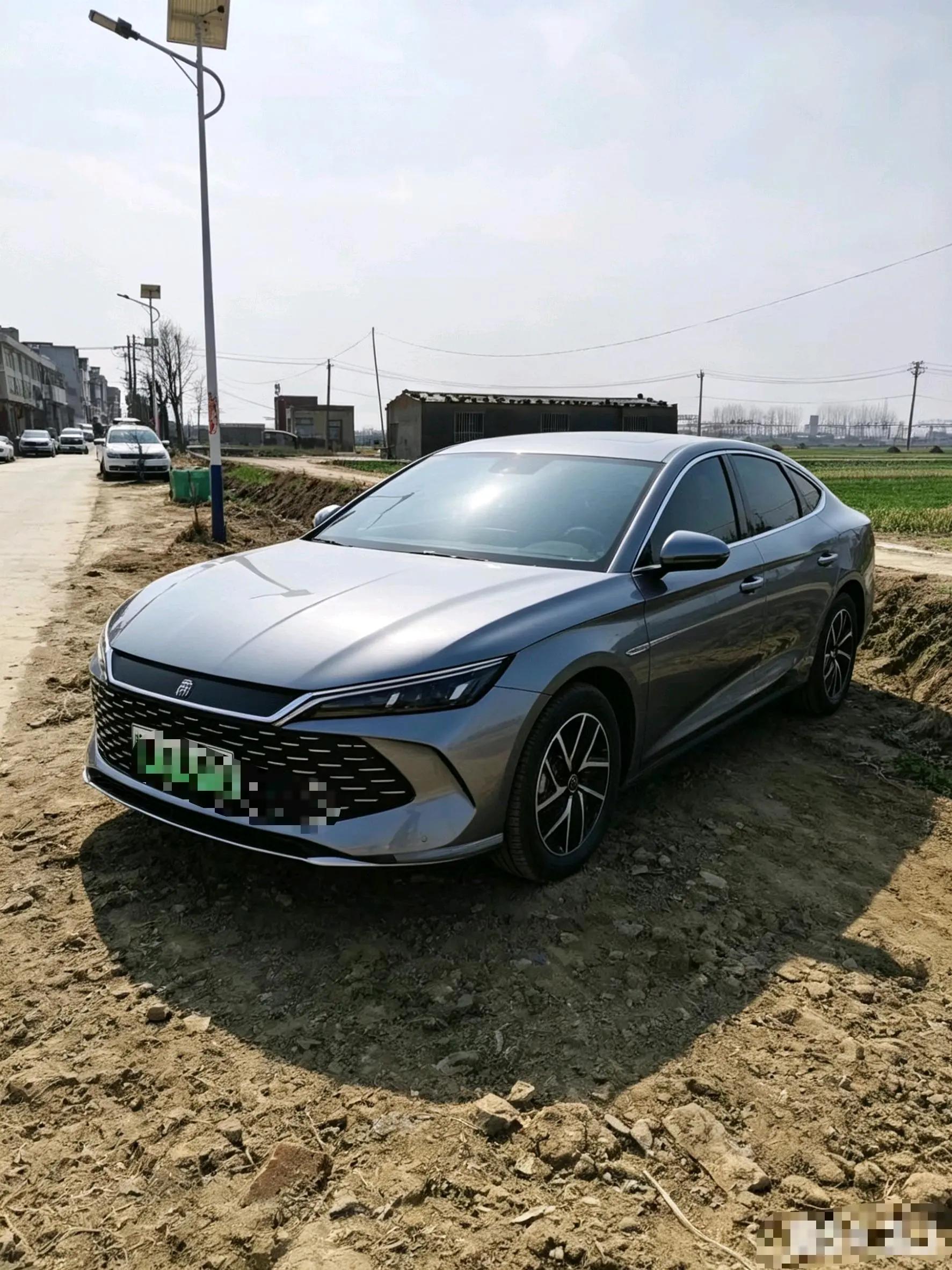 Qin L 2024 DM-i 80KM Exceed