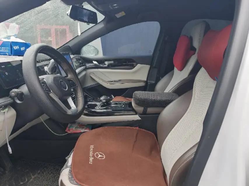 BYD 2024 Qin PLUS DM-i 1.5 CVT Glory Edition 55KM Prestige Automatic 4