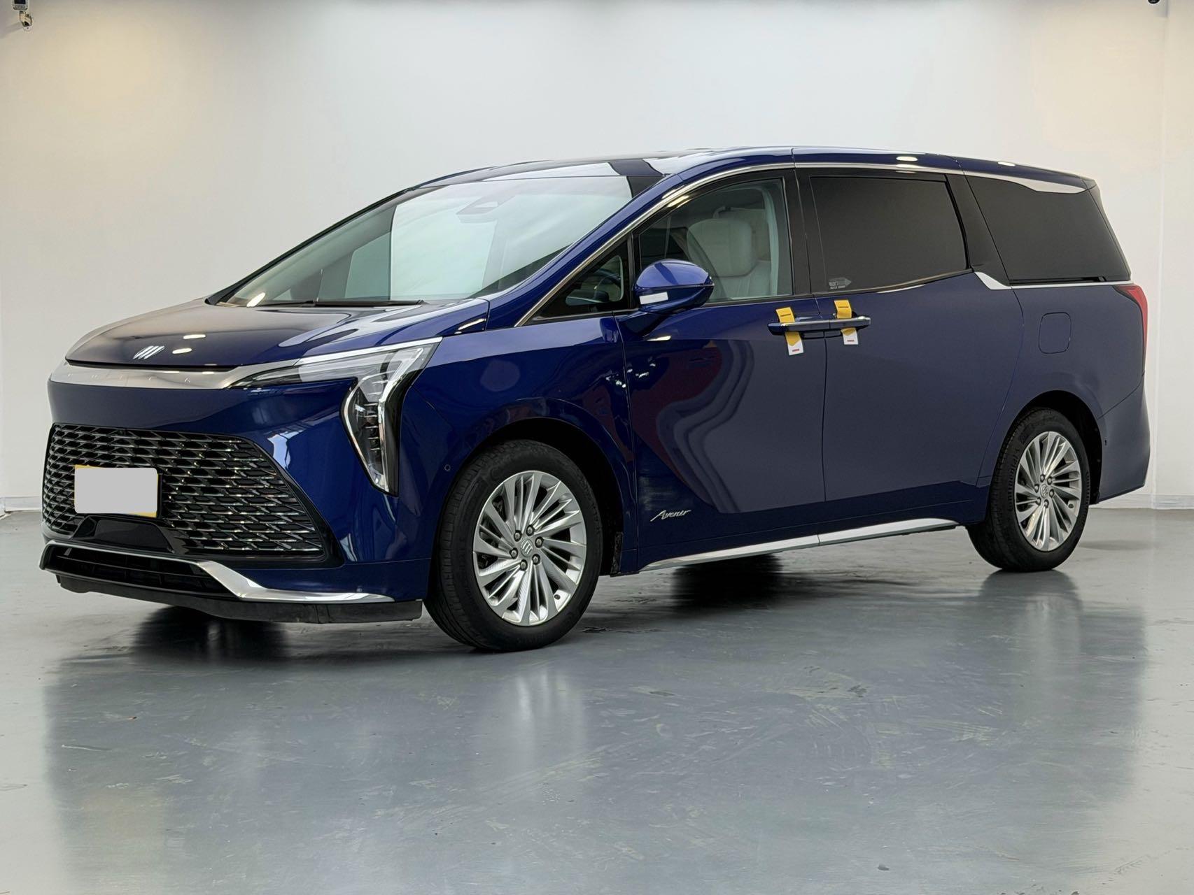 Century 2023 2.0T Six-seat World Edition