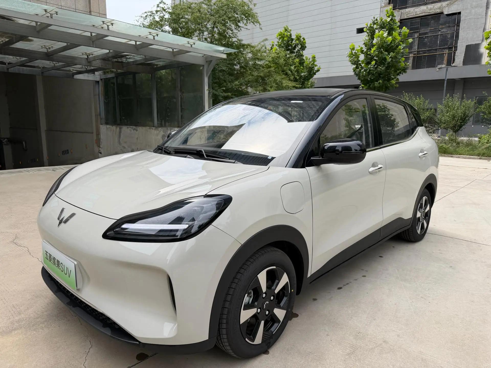 WuLing Plantronics PLUS 2024 401km Flagship