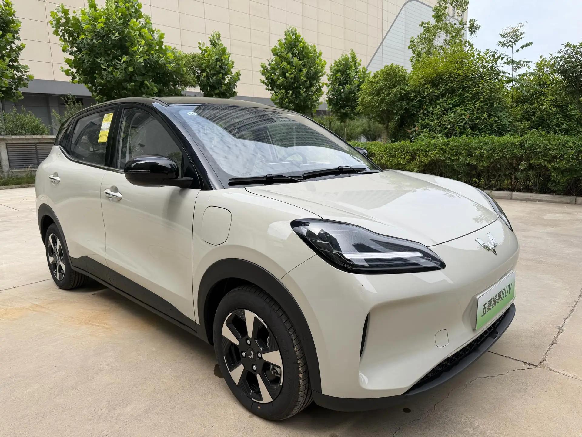 WuLing Plantronics PLUS 2024 401km Flagship 3