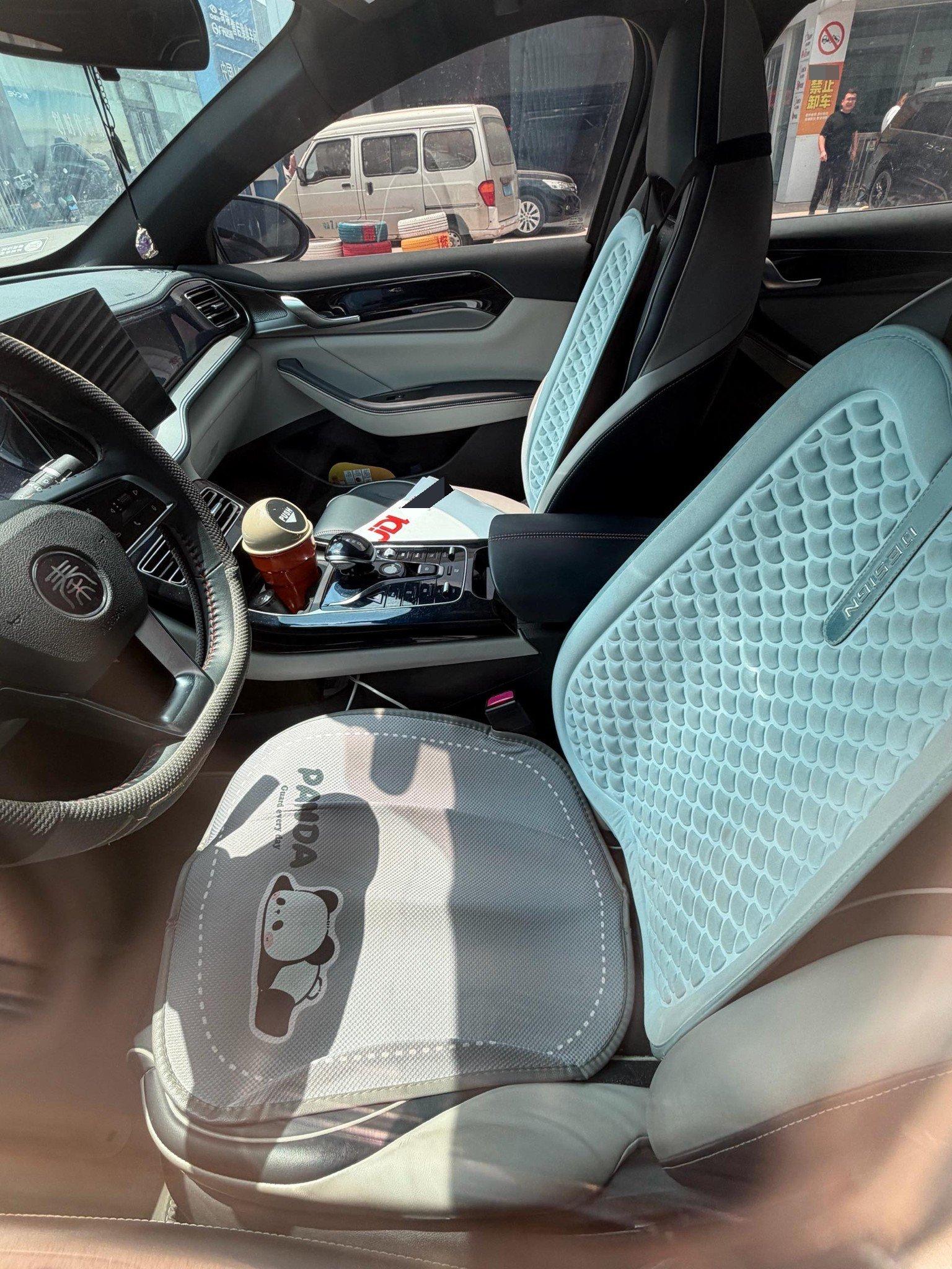 Qin PLUS 2021 DM-i 55KM Honorable Model 2